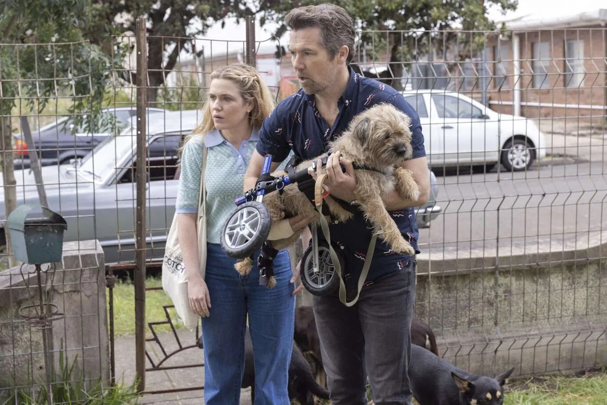 ‘Colin of beads’: having a child, running over a dog, writing a series | Television