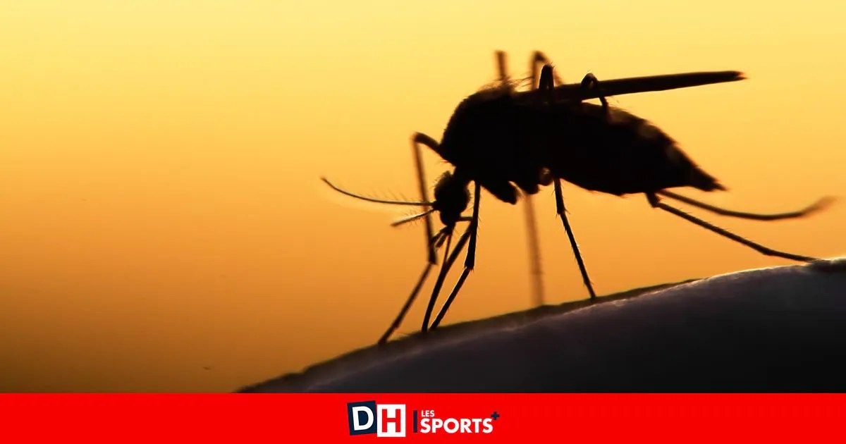 After being bitten by a mosquito, this teenager suffered an erection for 18 hours