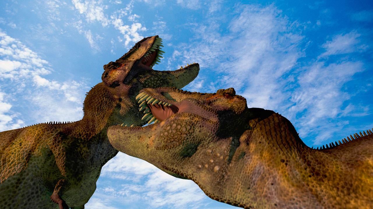 Newly Discovered Tyrannosaurus Species Challenges Previous Assumptions - Archyde