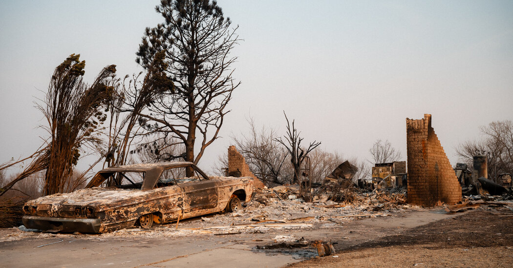 Texas Panhandle Wildfire Becomes State's Largest in History, Devastating Homes and Ranches - Archyde