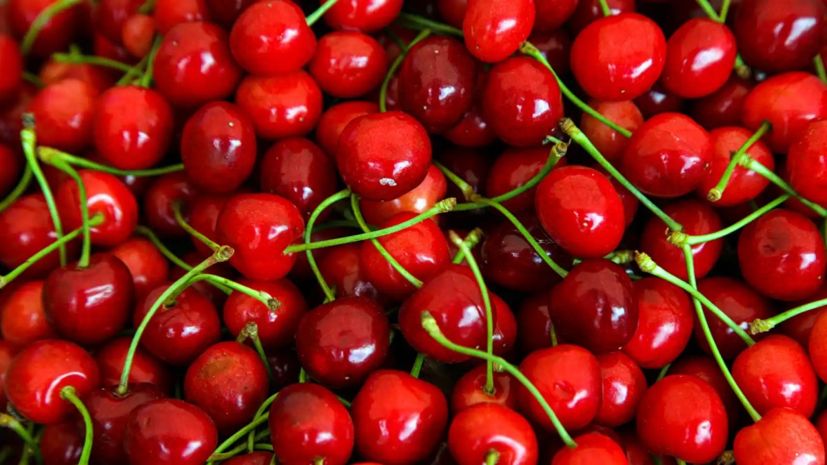 The Nutritional Treasure of Cherries: Health Benefits and Culinary Versatility