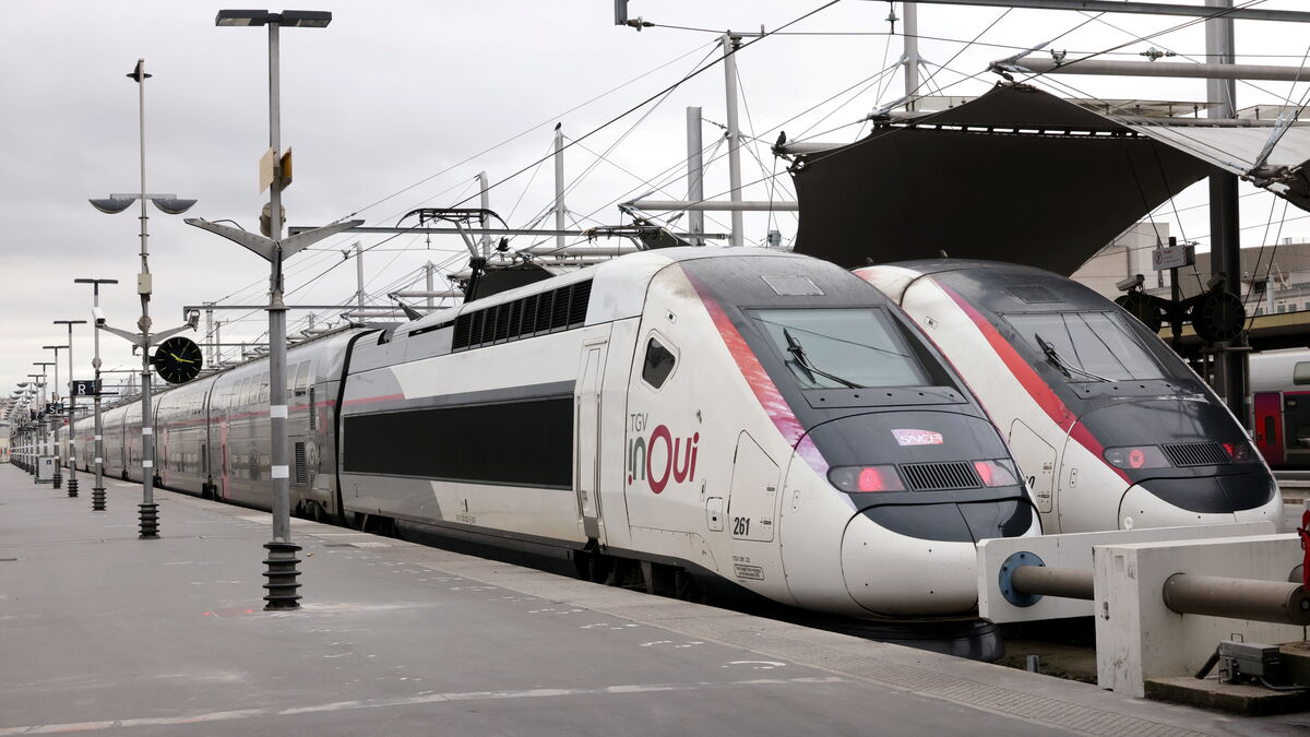 2024 Olympic Games: 141 days before the start of the events, the SNCF is “playing for time” on the question of the bonus