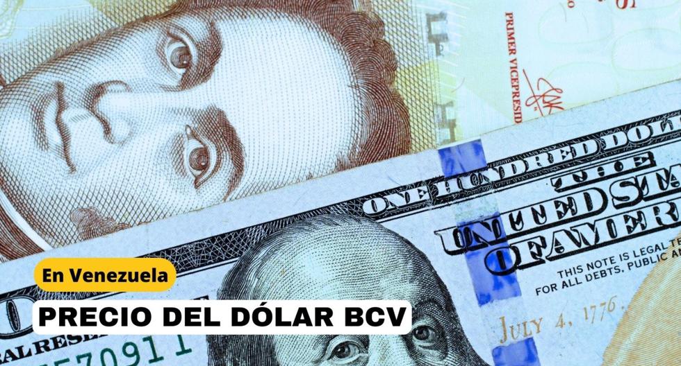 Dollar Exchange Rate in Venezuela Today: Updated Prices, DolarToday, and Monitor Dólar - Archyde