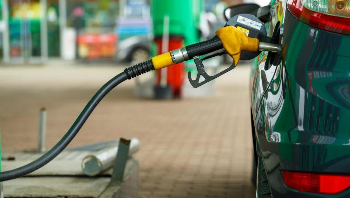 Excise taxes on gasoline have been reduced – customs duties have been abolished
 – 2024-03-02 03:29:06