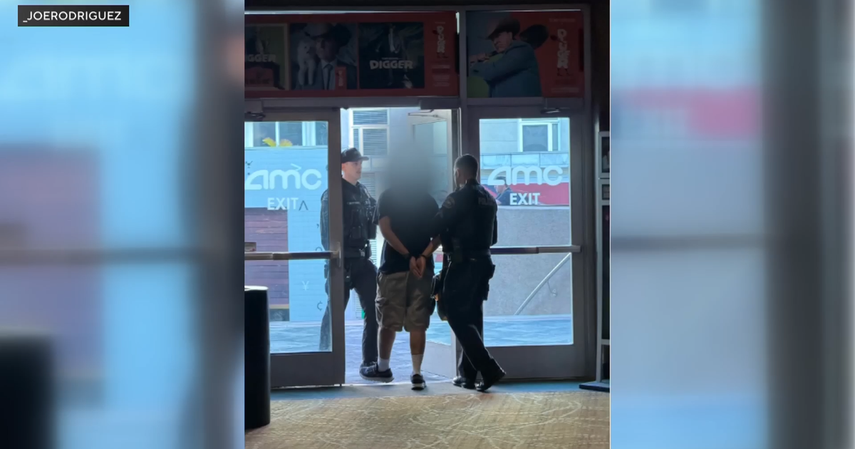 LA Man Matthew Ware Arrested for Pepper-Spraying Moviegoer in Burbank