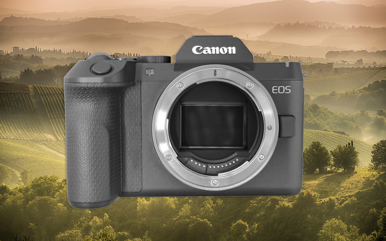 Canon EOS R8 Mark II Leaks Reveal September 15 Launch and IBIS Specs