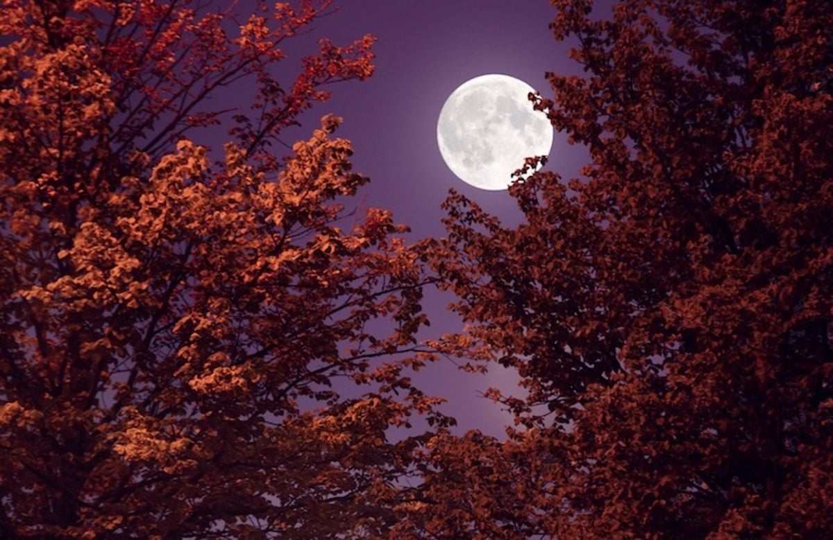 Harvest Moon to Align With Saturn and Neptune on September 26, 2026